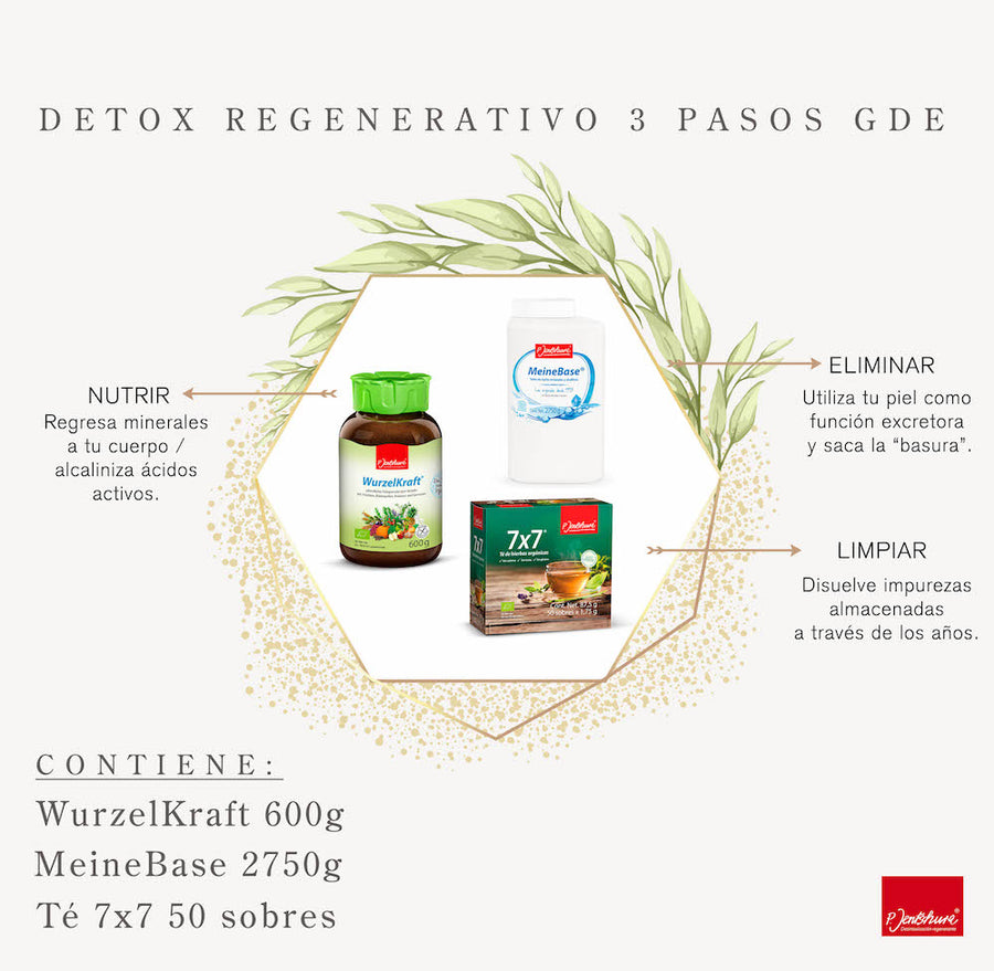 Kit Detox Regenerativo 3 pasos GDE