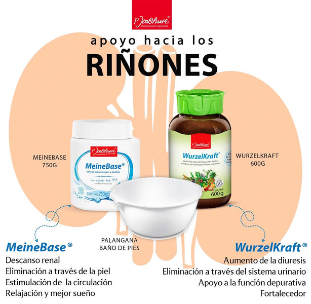 Kit Riñones Auxiliares + Fortalecimiento Grande