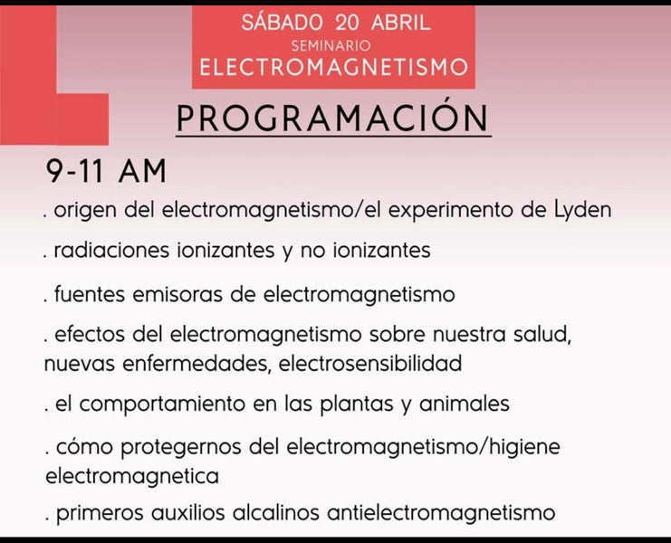 Seminario Electromagnetismo Online (Grabación)