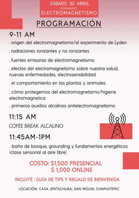 Seminario Electromagnetismo