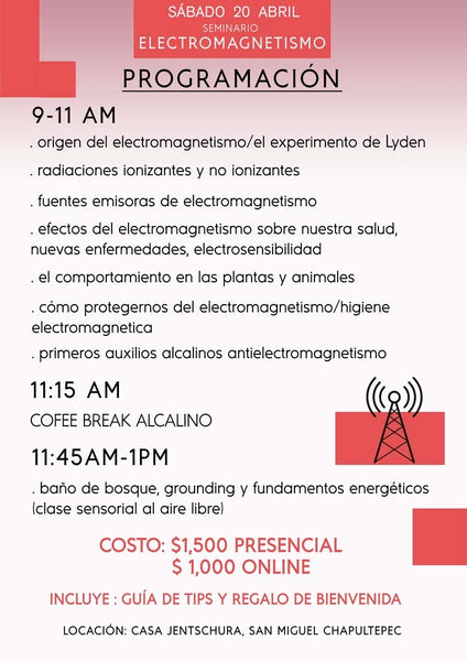 Seminario Electromagnetismo