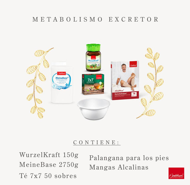 Kit Metabolismo Excretor